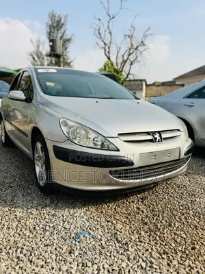 Peugeot 307 2005 Silver