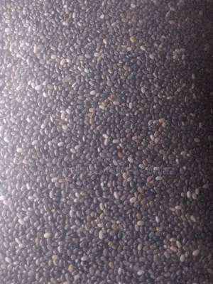Chia Seeds