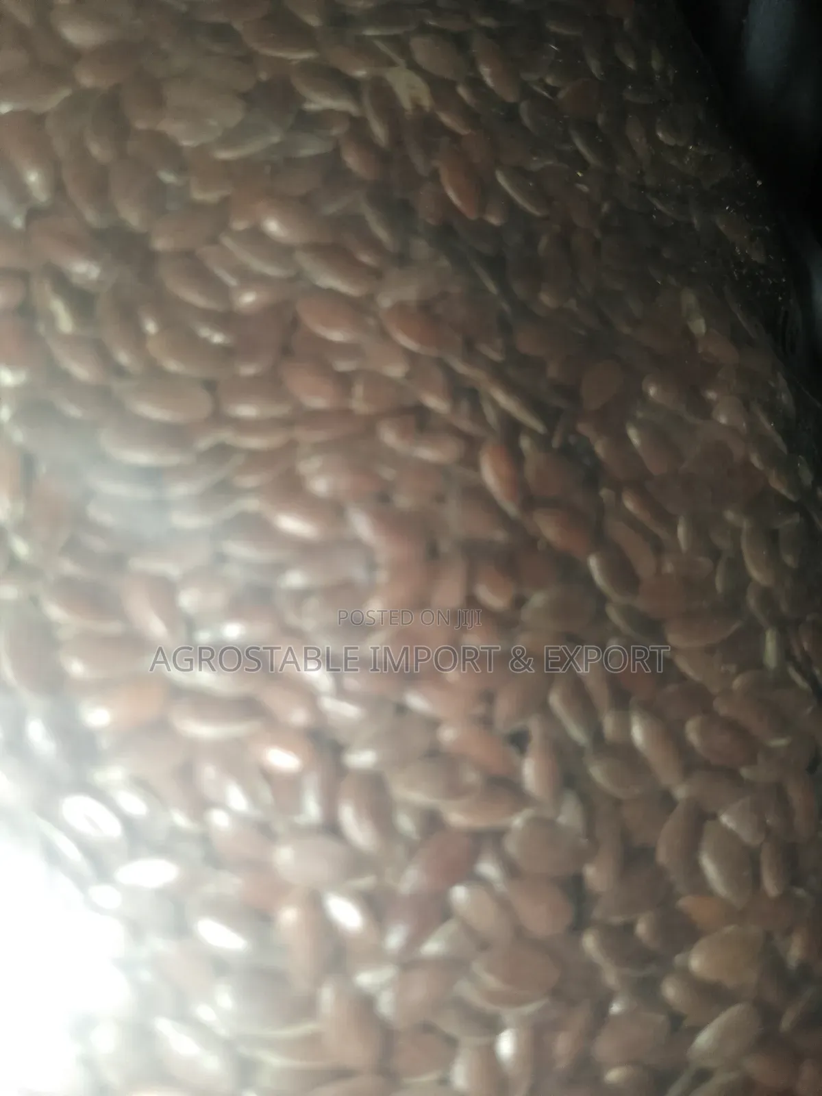 Flax Seeds