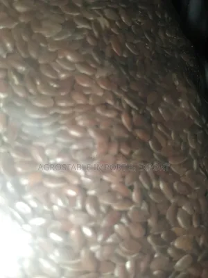 Flax Seeds