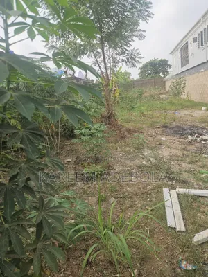 Residential Land at Zone J Banana Island Ikoyi