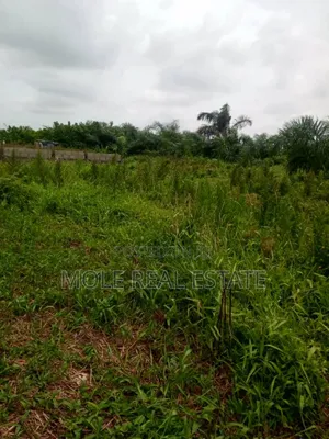 Ramadan Promo 30% Off Ijegun Plots Close to Bustop