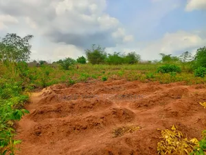 2.5 Acres of Mixed Use Land,