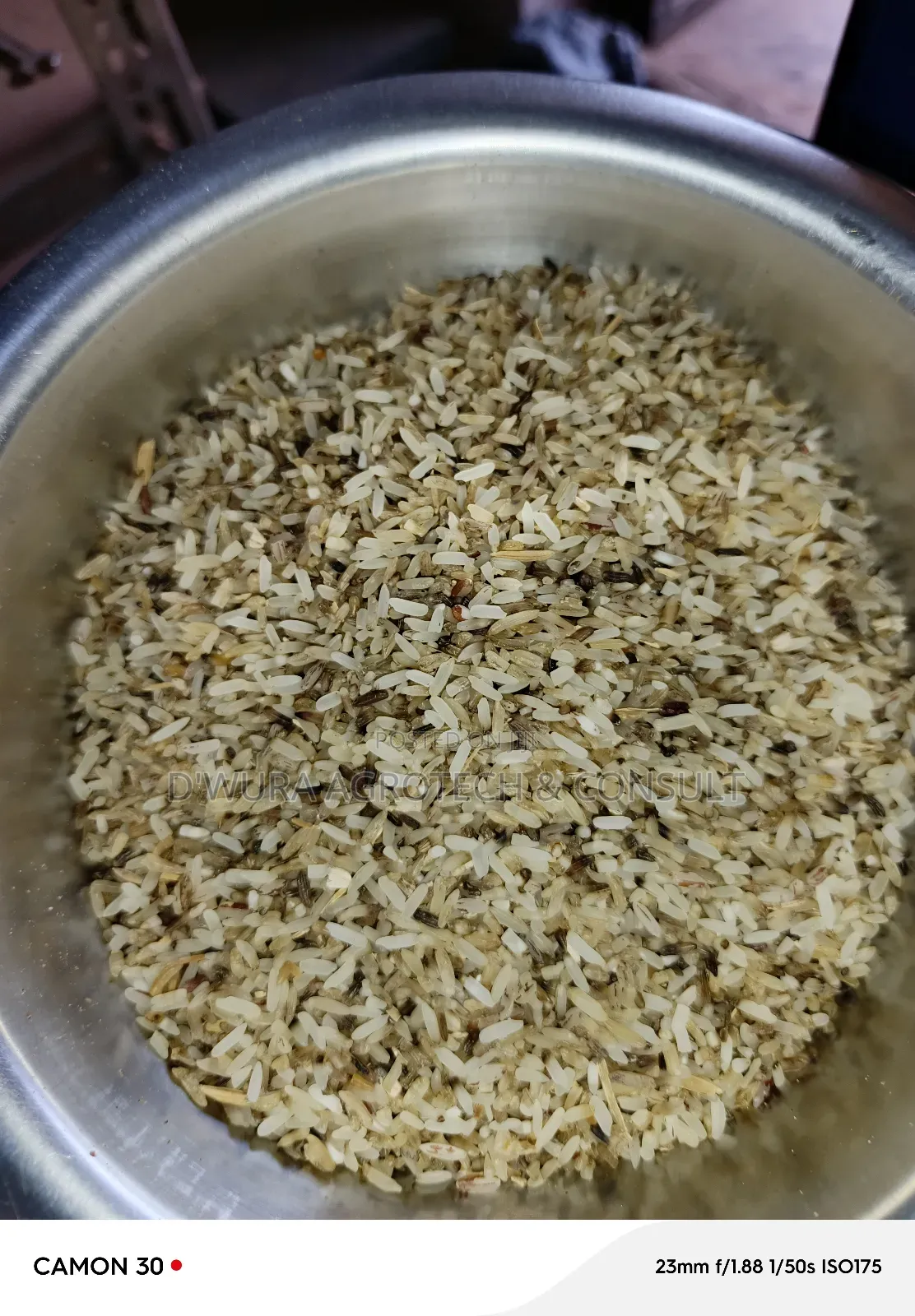 Dog Rice Indomie Chicken And Fish Meal Available, Ibadan