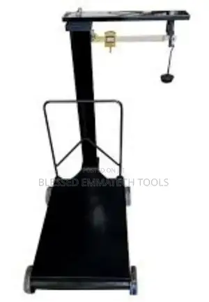 Manual 300kg Motor King Scale