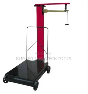 Manual 300kg Motor King Scale