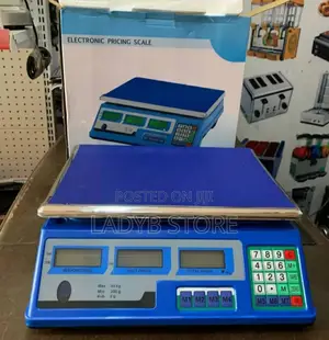 Electronic Pricing Scale