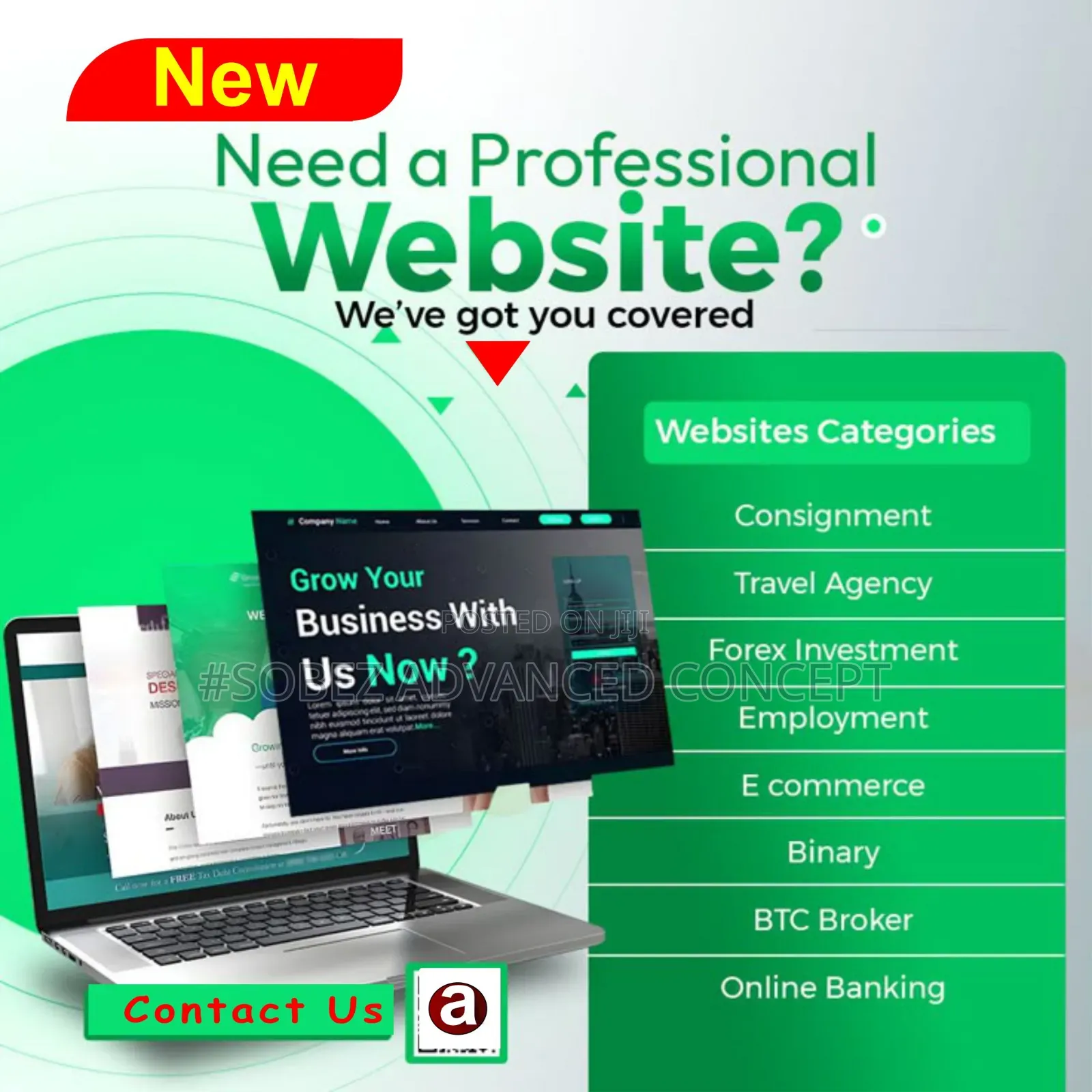 Professional Web Design & Development