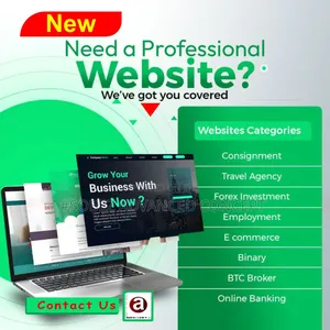 Professional Web Design & Development