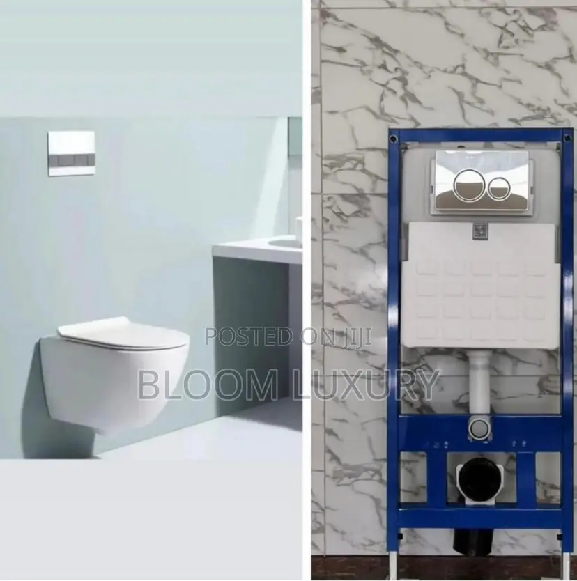 Wall Hung White Conceal Toilet