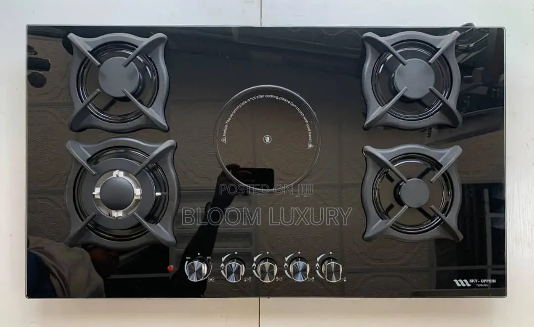 Inbuilt Electric And Gas Burner