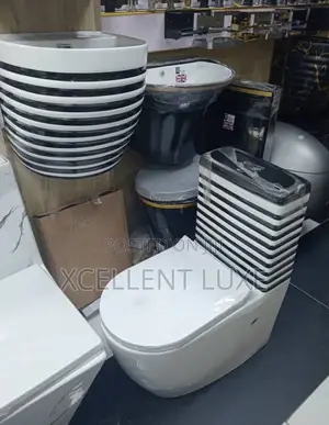 Luxurious and Quality Water Closet