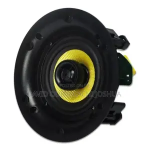 Hifi Bluetooth Ceiling Speaker 30w