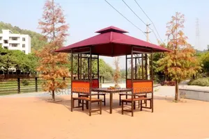 Unique Imported Tents