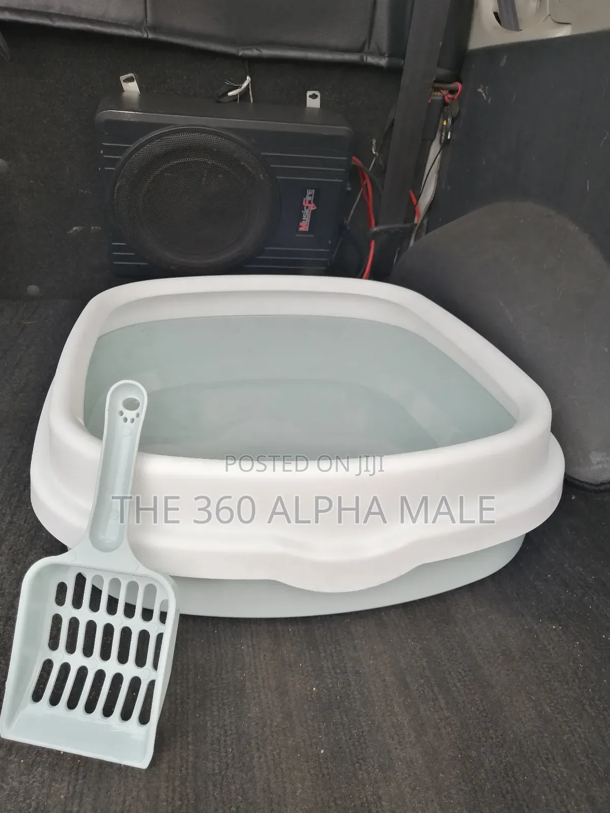 Cat Litter Box