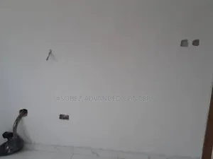 Professional Painters In Lagos
