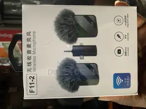 Original Recording Mic