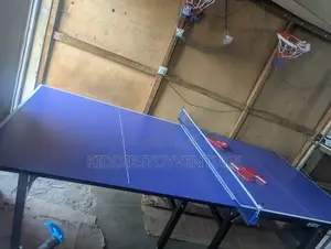 Outdoor Water-Resistant Table Tennis