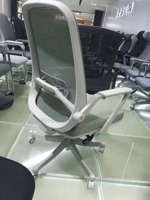 Luxury Executive Office and Study Chair