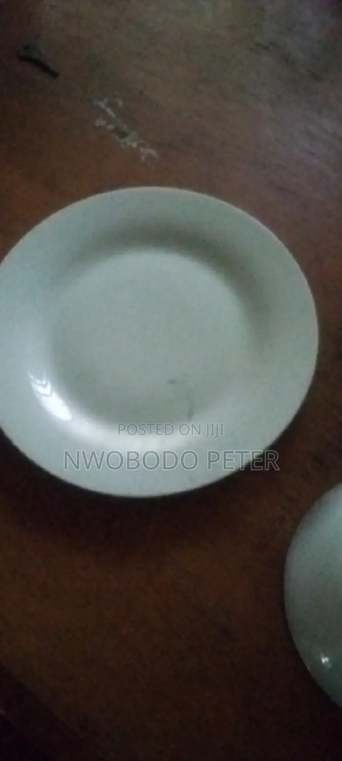 Dinner Plates