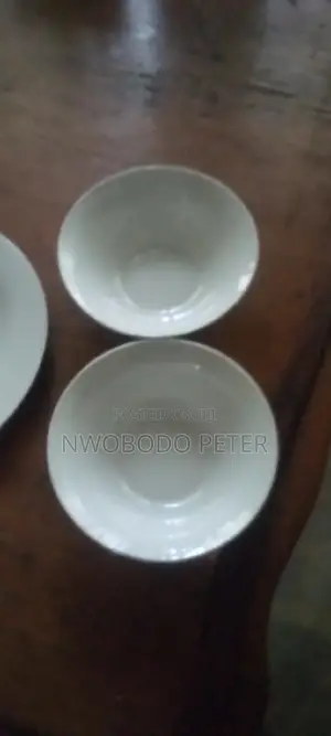 Dinner Plates