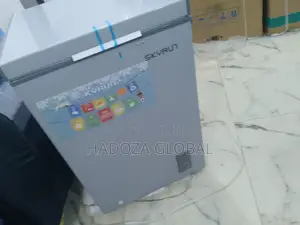 Skyrun Energy Saving Freezer