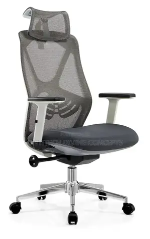 Ergonomic Swagger Executive Net/Fabric Chair