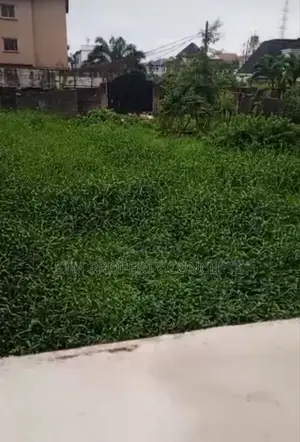 Half Plot of Land for Sale at Sholuyi Gbagada