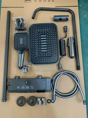Executive Shower Set