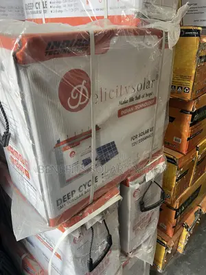 250Ah Delicity Tubular Battery