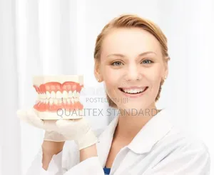 Teeth Model