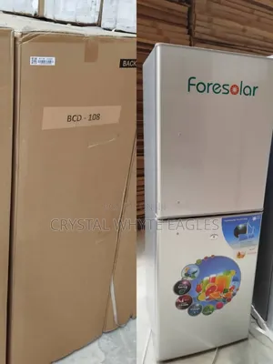 108l Ac/ Dc Solar Standing Freezer
