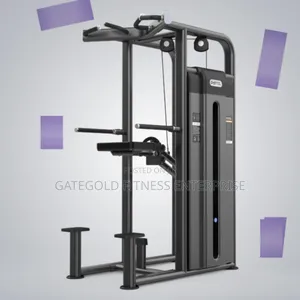 Dip Chin Assist U2009c