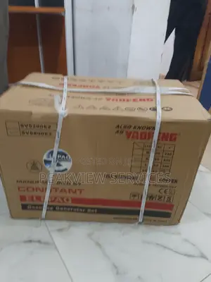 Elepaq 4.5kva Generator - Automatic Key Start Low Fuel