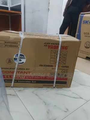 Elepaq Constant Sv6800e2 Automatic - High Performance 4.5kva