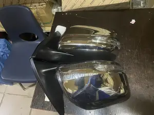 Side Mirror Prado Stainless