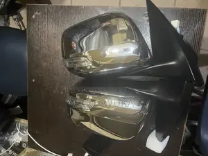 Side Mirror Prado Stainless