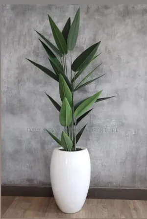 Beautiful Vase And Flower