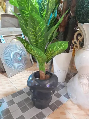 Beautiful Vase And Flower