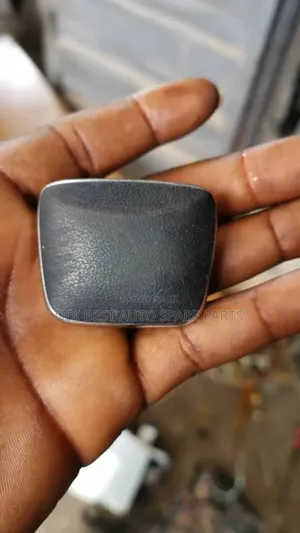 Lexus 350 2018 Model Scream Control Knob
