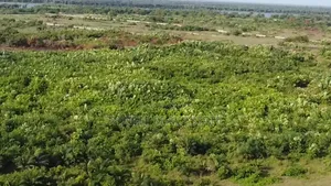2 Acres Prime Land