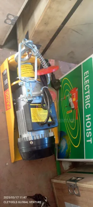 Electric Hoist 250kg