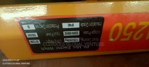 Electric Hoist 250kg