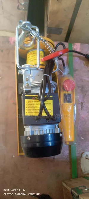 Electric Hoist 250kg