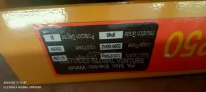 Electric Hoist 250kg