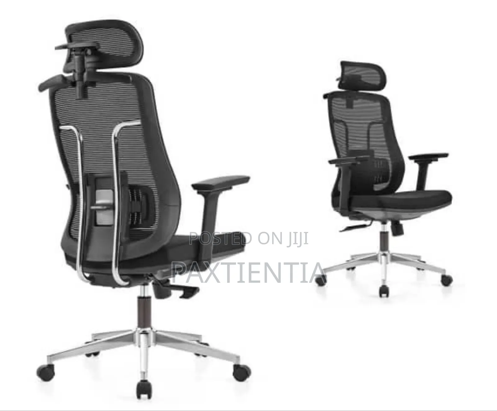 Ergonomic Chair With Iron Support