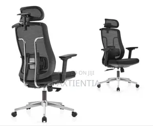 Ergonomic Chair With Iron Support