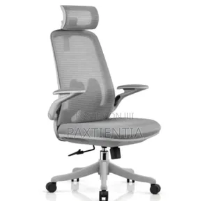 Plain Ergonomic Swivel Chair