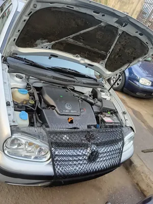 Volkswagen Golf 2004 Silver