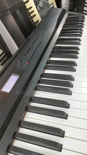 Casio Privia Px-330 88 Weighted Keys Digital Stage Piano